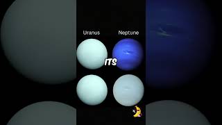 You’ve Been Lied to About Neptune’s Color (Here’s the Truth)