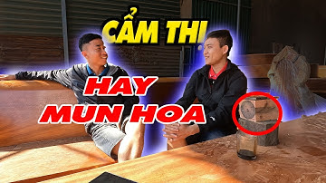 🔴 Phân biệt gỗ mun và gỗ cẩm thị: Điểm khác biệt quan trọng bạn cần biết | Sơn Sập Gỗ