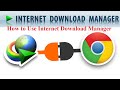 How To Download Files Using Internet Download Manager IDM How To Download Files Using Internet Download Manager IDM