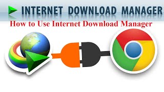 How to Download Files Using Internet Download Manager (IDM) screenshot 5