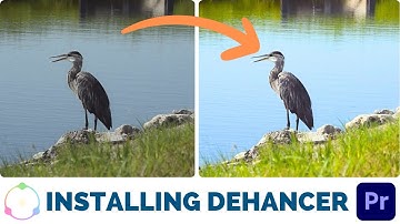 🎬 How to Install Dehancer for Adobe Premiere Pro on Windows | Step-by-Step Tutorial 💻