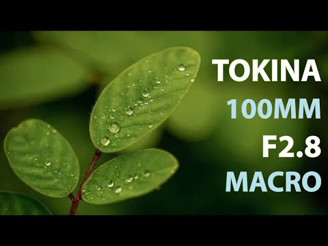 Tokina 100mm F2.8 Macro Lens | Unboxing | Handheld Sample Images &amp; Clips