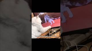 Kittyo Shows Its Actually A Luva Boy