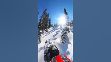 Sled ripping into the trees! #fyp #polaris #snowmobile #sledders #polaris900 #bluebird #shorts