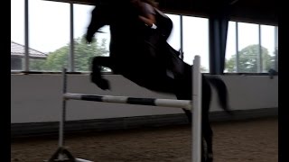 Santo jumping 1.30m + flatwork (10.07.2016)