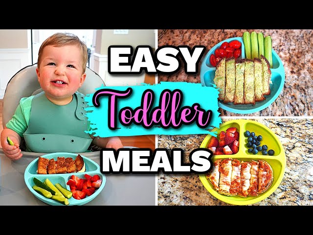 Toddler Meals