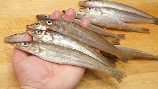 カマスのさばき方と昆布締めの炙りの作り方 勇士 Yuji
