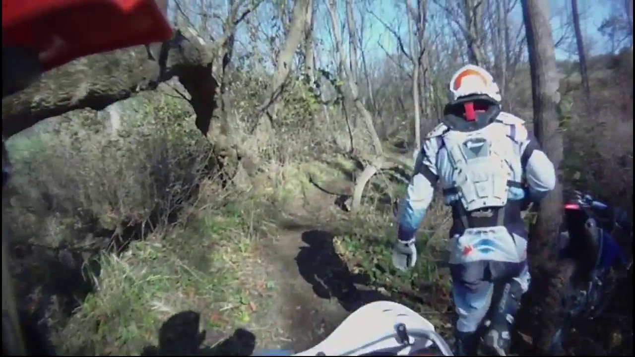 Leaf River 2016 Video 9 Final YouTube