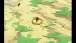 Naruto - Points Of Authority