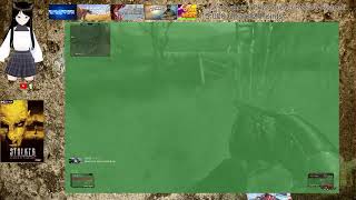 S.T.A.L.K.E.R.: Shadow of Chernobyl (An unfortunate last transmission)