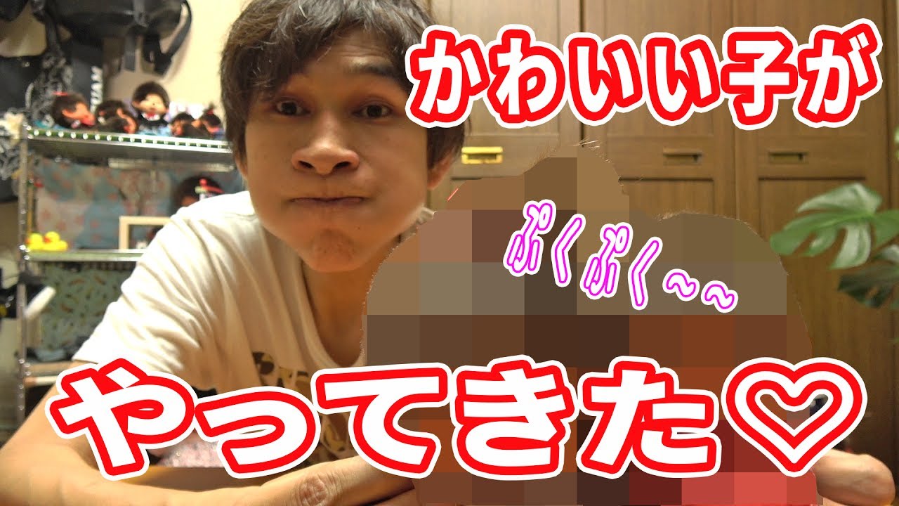 Monchhichi's new family member! [Monchhichi Series #41] - YouTube