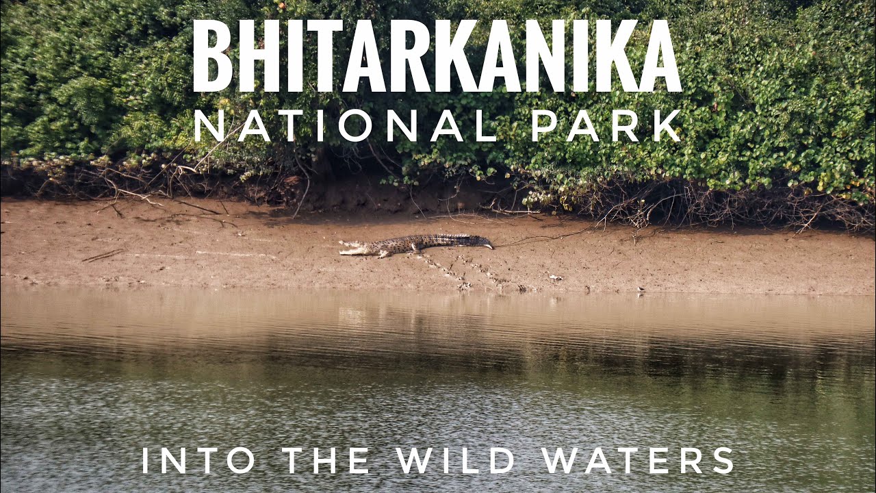 Kolkata to Bhitarkanika National Park: Unveiling India’s Mangrove Paradise (Ep-2) | Odisha Tourism