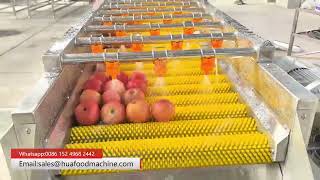 Apple Washing Machine With Air Bubbles & Brush Tech Remove All Pesticides screenshot 5