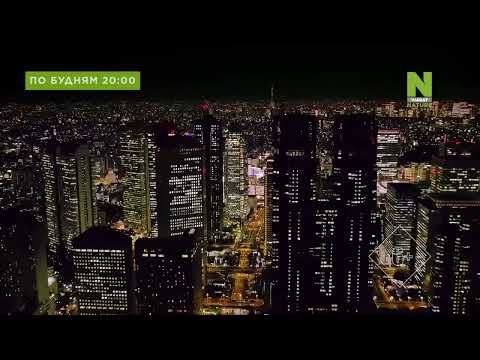 Ребрендинг Viasat Nature