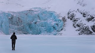 Alone When Night Falls Surrounded By Moose In Alaska