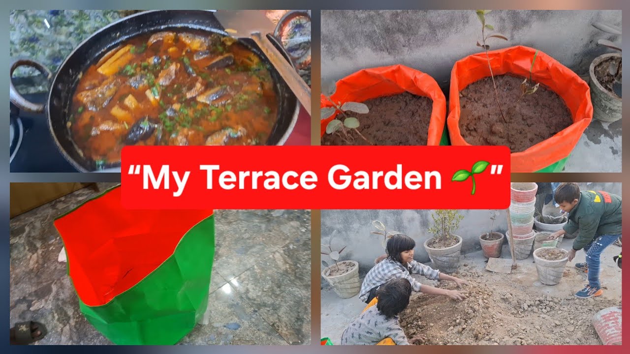 “Terrace Gardening Day 🌿 | Aaj Maine Chhat Par Planting Ki”