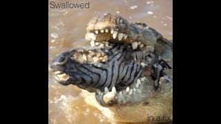 Swallowed {136bpm Techno mix w/ Visuals}