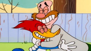 Are Woody and Wally Friends? | Woody Woodpecker