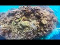 Scuba Diving in Moalboal, Philippines