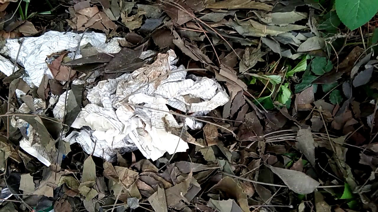 Human feces Compost. YouTube