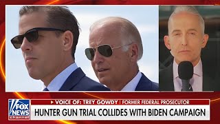 Trey Gowdy Defends Hunter Biden | Fox News Showdown