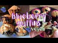 EASY VEGAN BLUEBERRY MUFFIN RECIPE