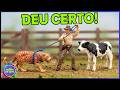 A Onça Levou o Bezerro de Novo! E AGORA