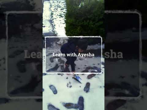 Nature exploration on a snowy day, mushrooms, Gruffalo trail, Seasons and habitats Nature exploration on a snowy day, mushrooms, Gruffalo trail, Seasons and habitats