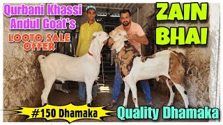 Qurbani Khassi Andul Goat's At ZAIN BHAI | Quality Dhamaka Bakre In Bhiwandi |@Rizwankranti