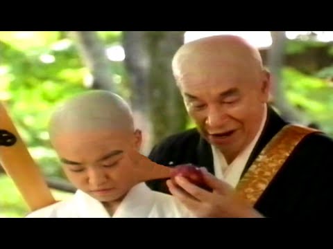 【なつかCM】トライデントシュガーレスガム ②1996（リカルデント・キシリデント）アダムス ワーナーランバート ファイザーコンシューマー