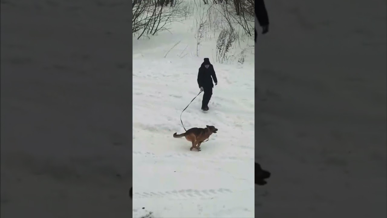 Режим бешенки активирован 