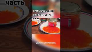 Как выбрать красную икру к новогоднему столу? #икра #новыйгод #влог #краснаяикра #продукты