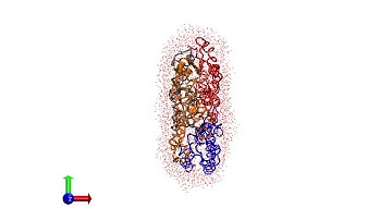 Compress the Hemoglobin in NAMD-- Extreme protein compression [HD]