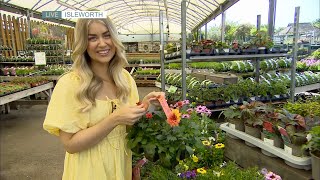 Hanging Basket Masterclass - 09/05/2024 by LU7 Television Clips Xtra 631 views 5 days ago 10 minutes, 46 seconds