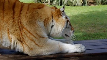 Eric Benner 2017 Video Reel