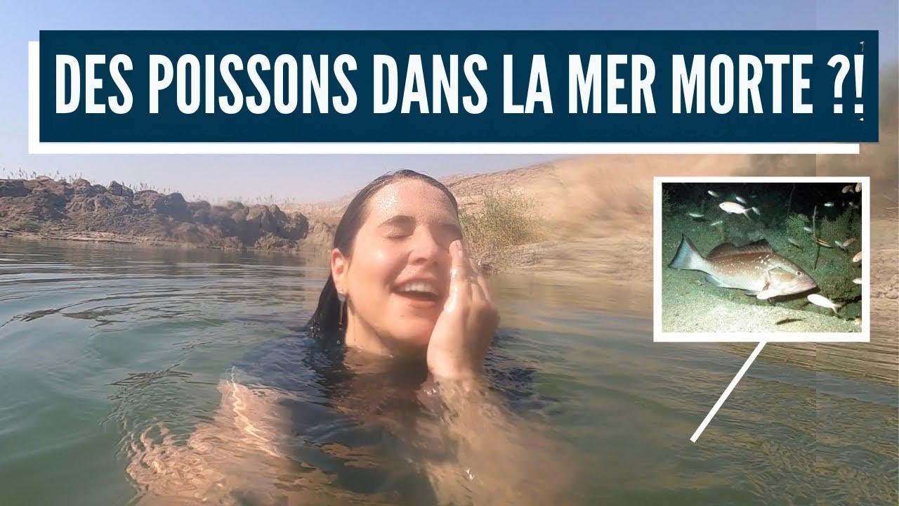 LA PROPHÉTIE SE RÉALISE AUJOURD'HUI ! Vie au bord de la Mer Morte !