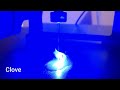 Laser VS Essential Oils (Are Essential Oils Flammable?)