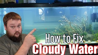 Cloudy aquarium water  how to fix it!