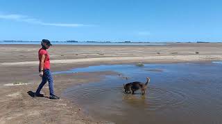 Laguna de Gómez. Junín. Provincia de Buenos Aires