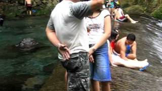 Falls