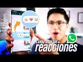 Como usar las reacciones de WhatsApp en Android, iPhone y WhatsApp Web