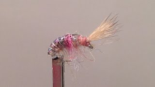 Rainbow Flashback Scud
