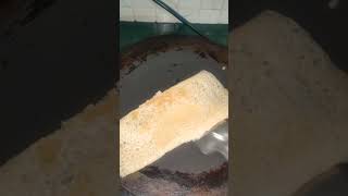 Plain Dhosa