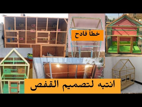 اكبر الاخطاء بتصميم اقفاص طيور الزينة وبسببها تفشل تربية البادجي الكوكتيل الغندور الفنجس انتبه