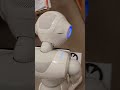 Pepper robot NAOmark test