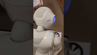 Pepper robot NAOmark test