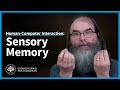 Sensory memory in humancomputer interaction  what is sensory memory and how does it work