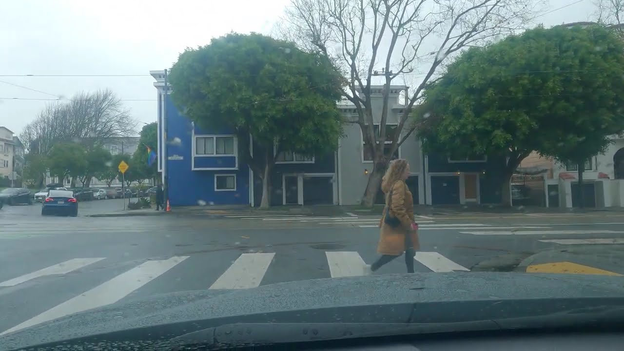 Experience the REAL Bay Area Like a Local!