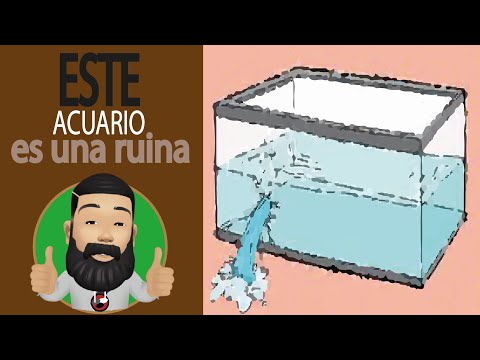 Video: Acuario En Escamas De Aluminio