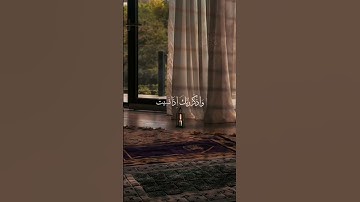تلاوه بصوت الشيخ المنشاوي #القرآن_الكريم #السعودية #المصحف #المغرب #الجزائر #اكسبلور #المصحف #الله